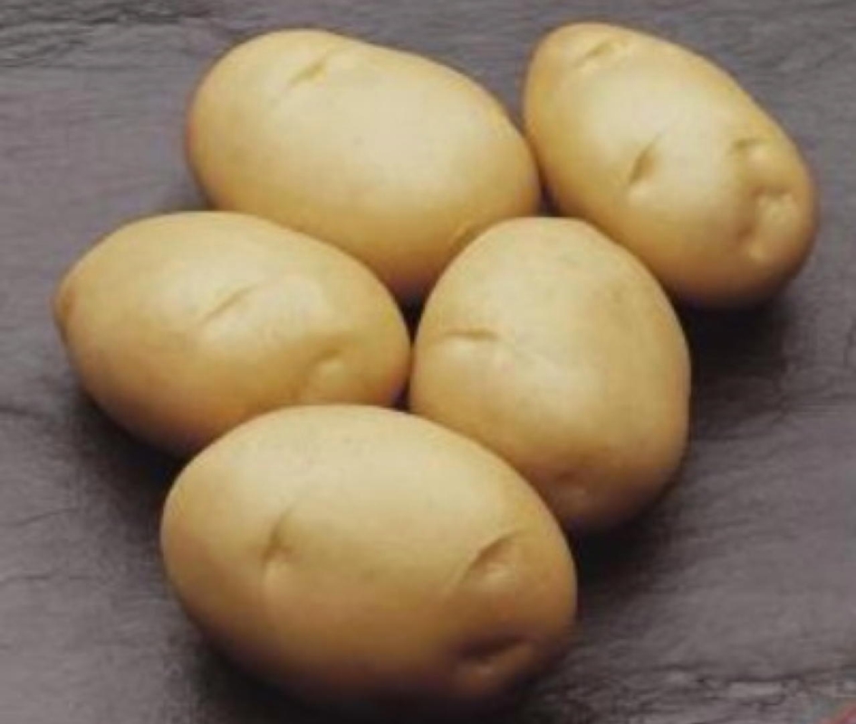 6 184055_20171017103049